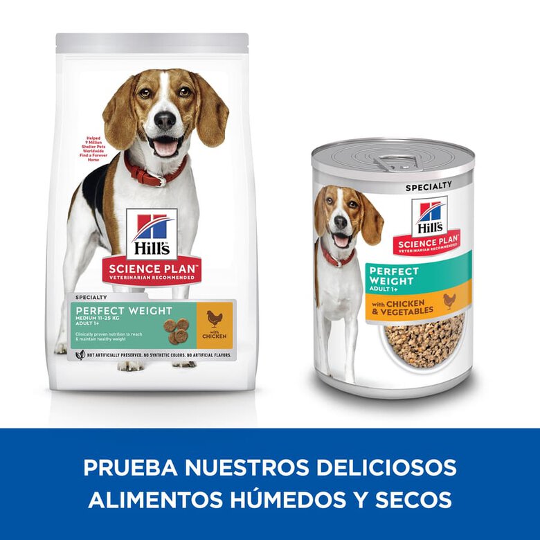 Hill's Science Plan Perfect Weight Adult Medium Pollo pienso para perros, , large image number null